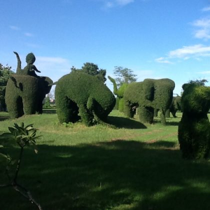 פיסול  אמנותי בשיחים  לצידי כביש 211 המקביל לחופי המקונג – לפעמים המציאות עולה על כל דמיון